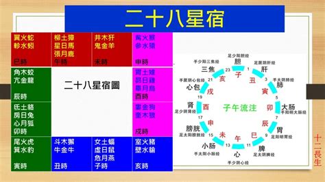 女命帝旺|長生十二神【帝旺】坐命盤十二宮